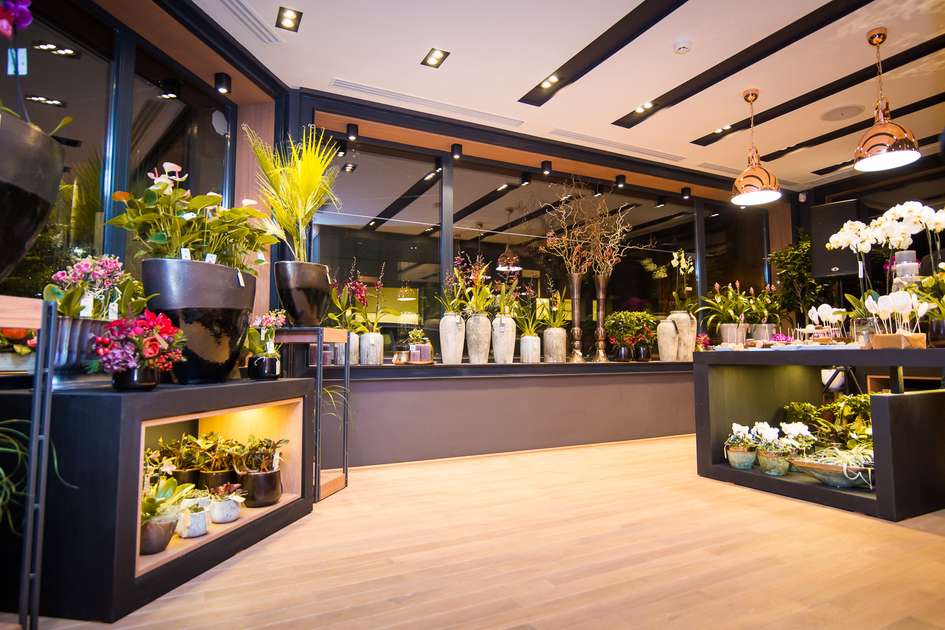 Floria In Strada 1
