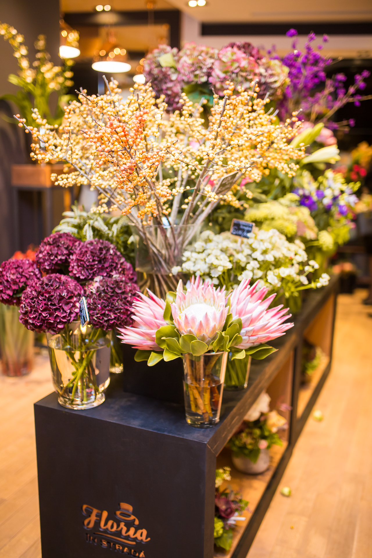 Floria In Strada 3