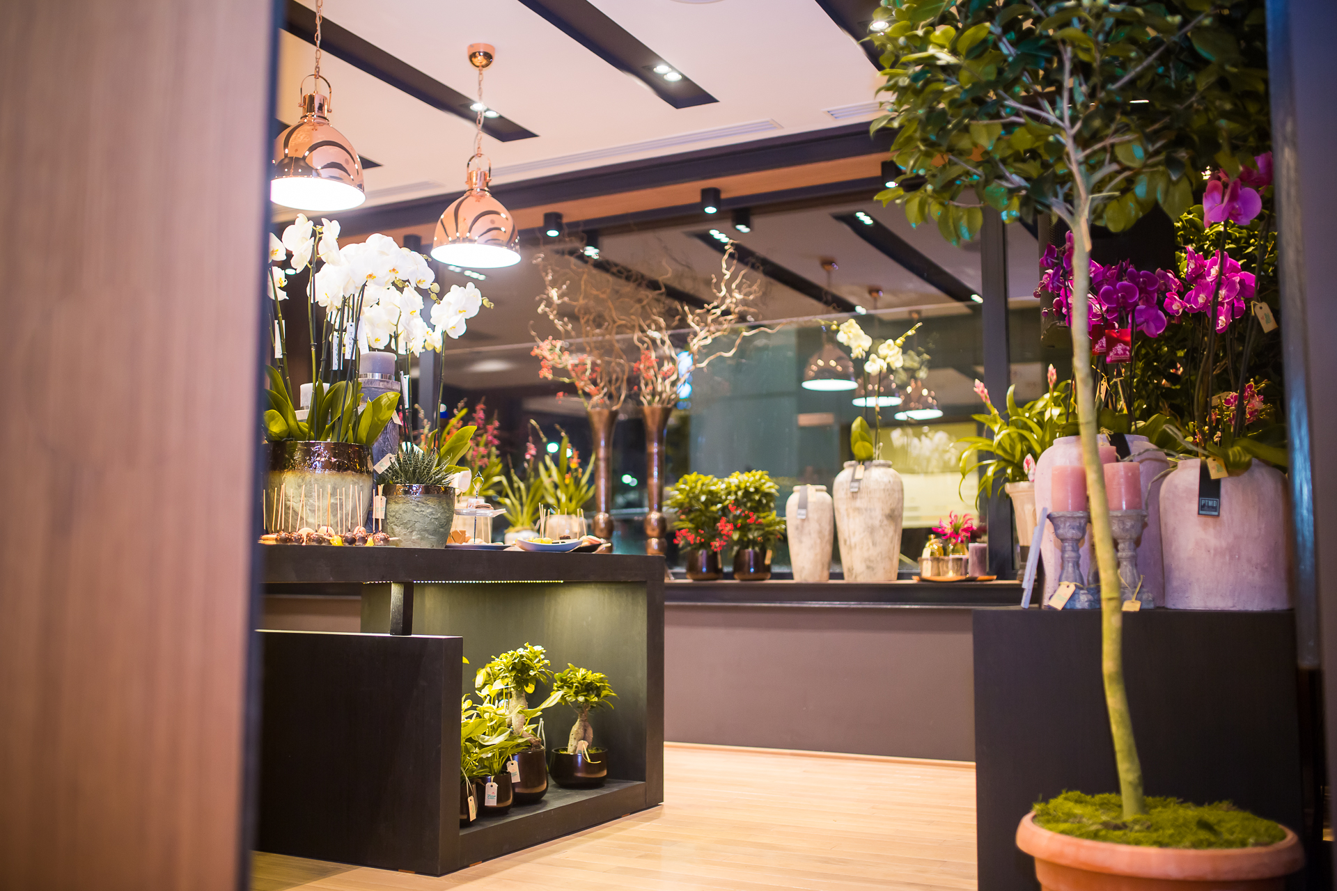 Floria In Strada 4