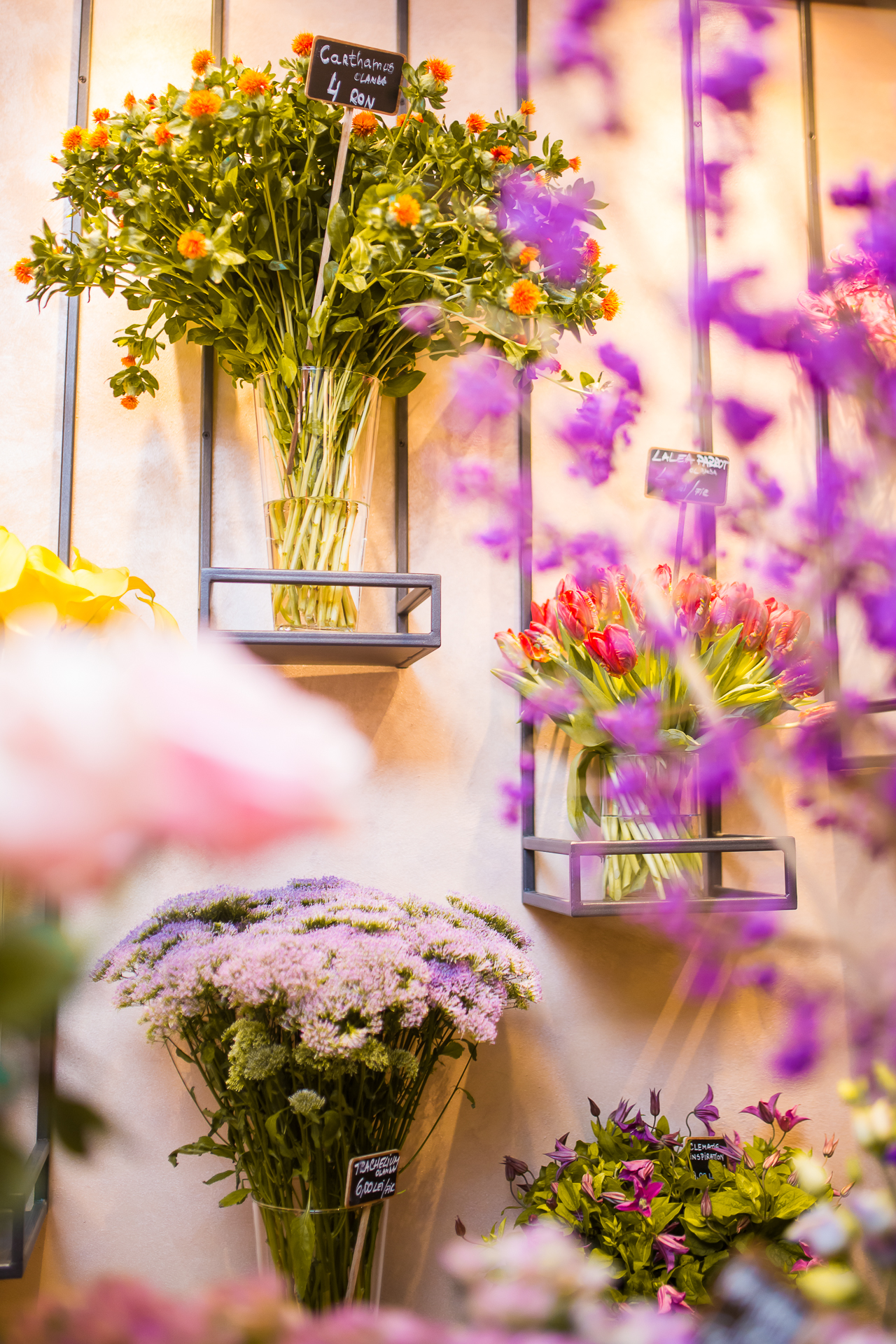 Floria In Strada 8