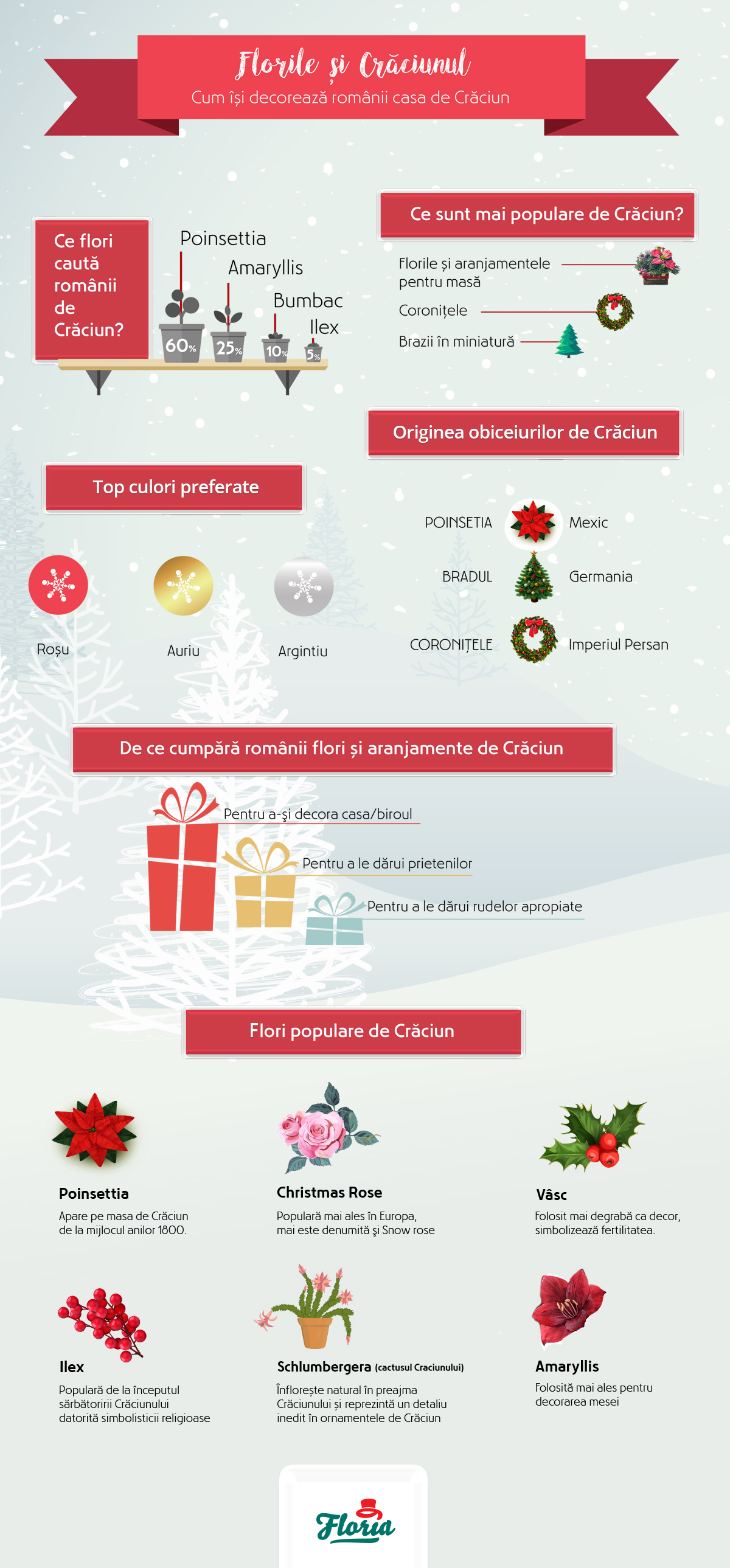 Infografic_Floria_Craciun