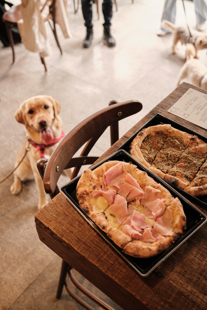Atentie, Doggy pizzas